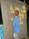 N�hodn� fotka z albumu